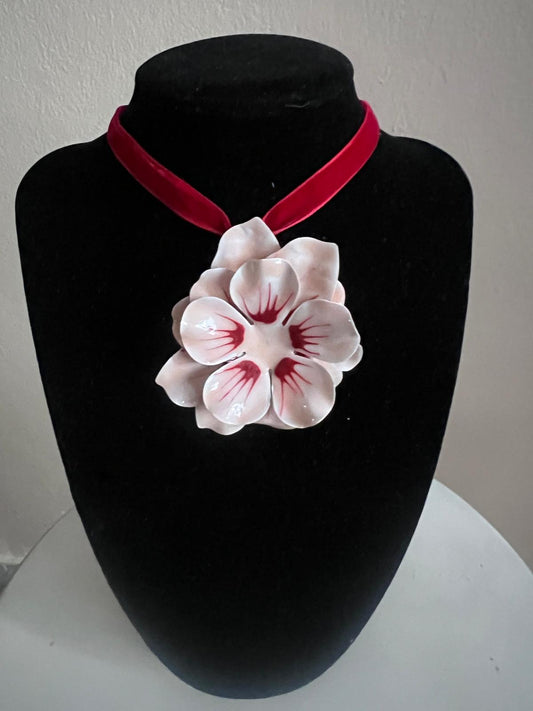 Amapola